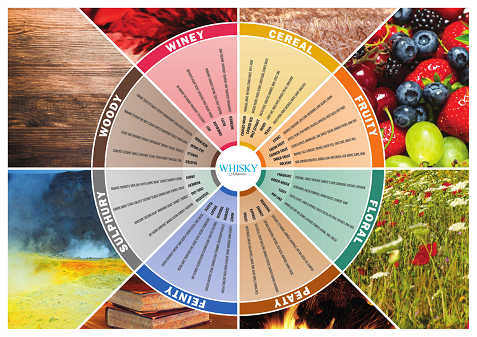 202306122936.png WMTastingWheel_A3-Frame-144dpi_1 - 副本.png