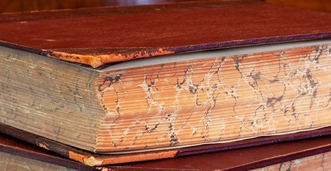 202306129383.jpg feinty-flavour_bg_image - 副本.jpg